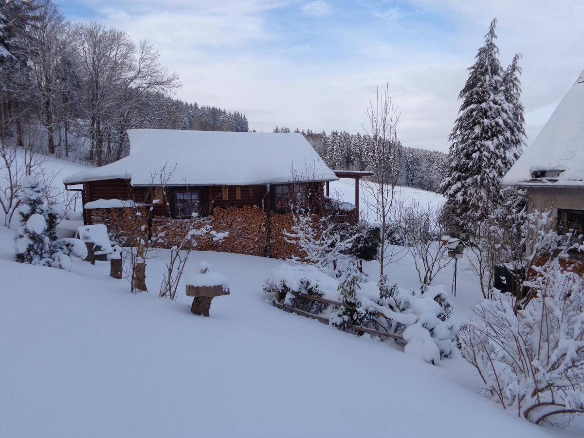 Ferienhaus Sachse Villa Pockau Екстериор снимка